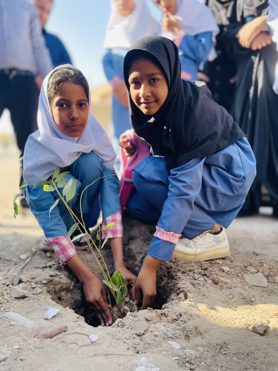  غرس ۳۰ اصله نهال در مدرسه شهید جبالبارزی عنبرآباد